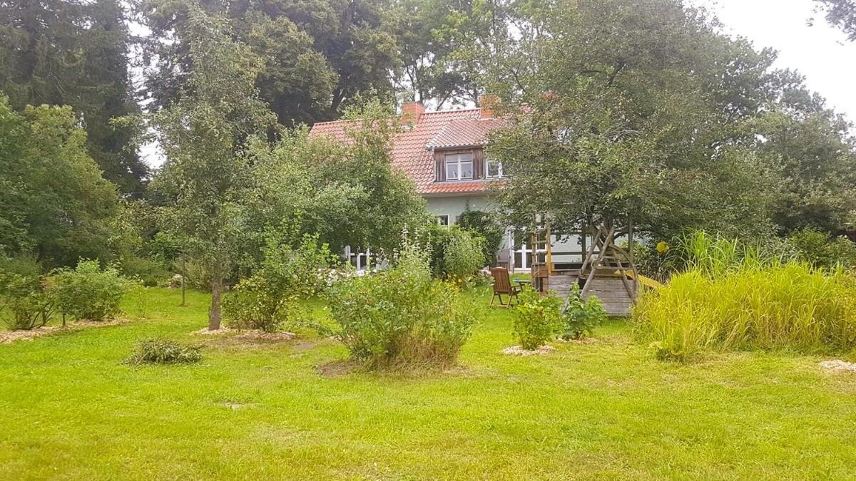 Ferienhaus Salvia Gremersdorf-Buchholz Exterior photo