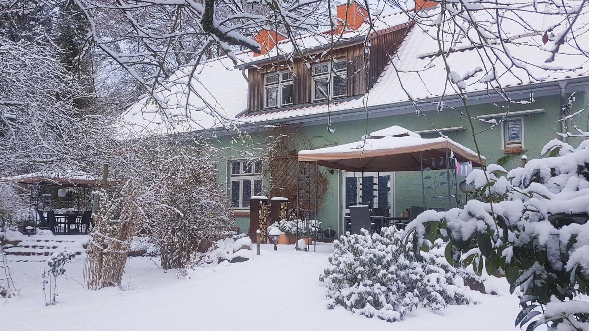 Ferienhaus Salvia Gremersdorf-Buchholz Exterior photo