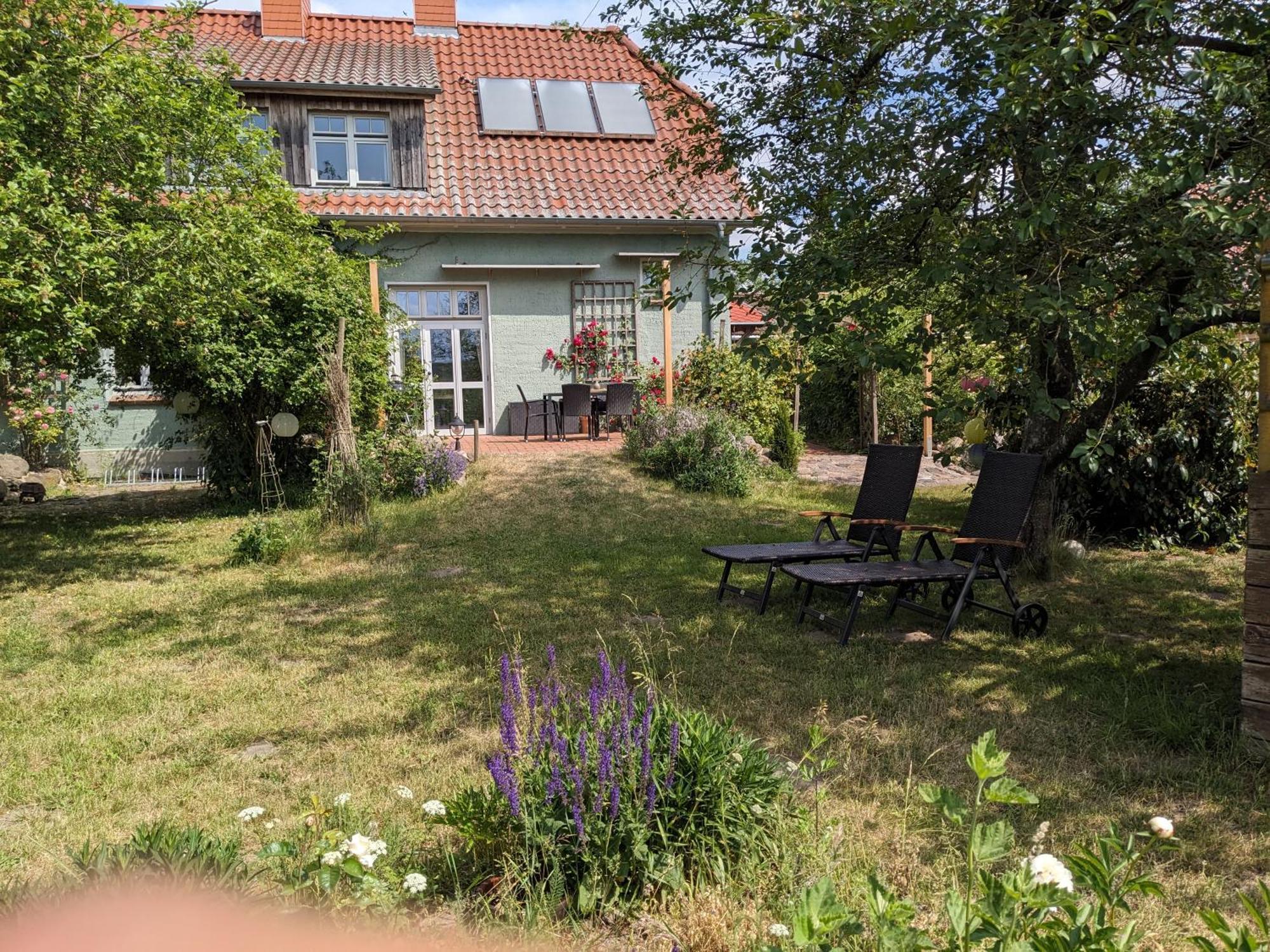 Ferienhaus Salvia Gremersdorf-Buchholz Exterior photo